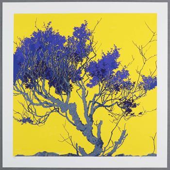 Henrik Simonsen - Yellow Sloe