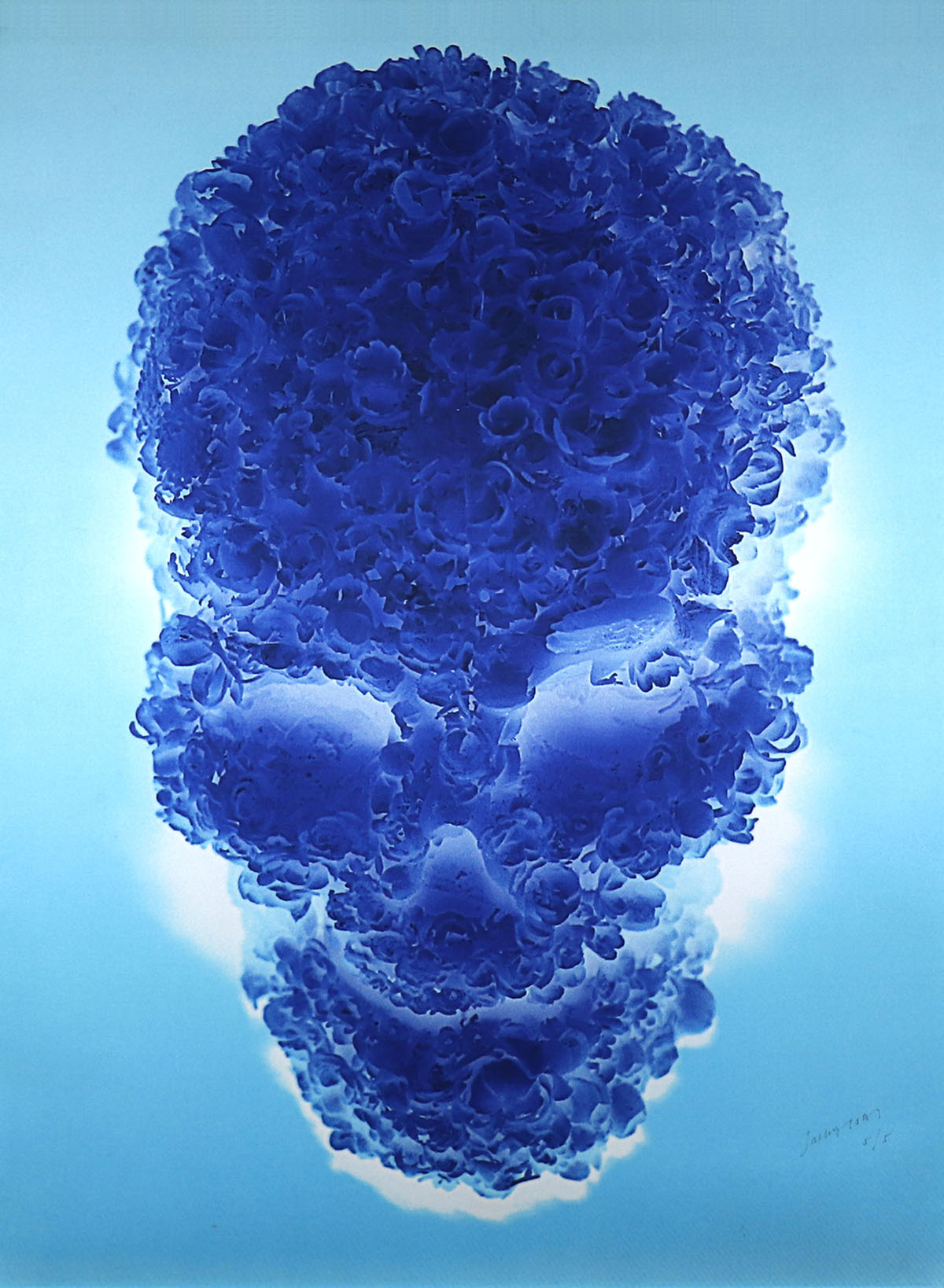Jacky Tsai - Blue Skull