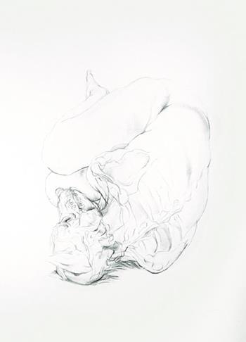 John Simpson - Sleeping Wolf Study