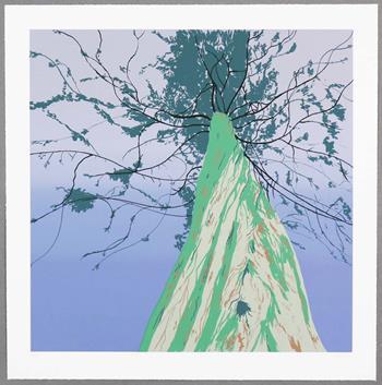 Jonathan Purday - Canopy Memories