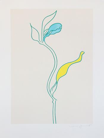 Lucie Bennett - Honeysuckle