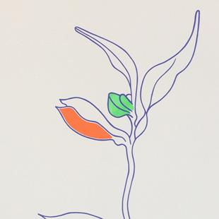 Lucie Bennett - Tigerlily