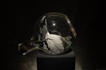 Polly Morgan - MS Found in a Bottle