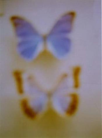 Seton Smith - Butterflies (1994)