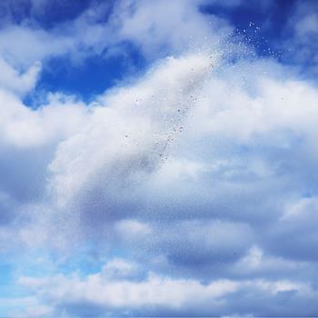 Rob and Nick Carter - Paint Pigment Photograph, Titanium White