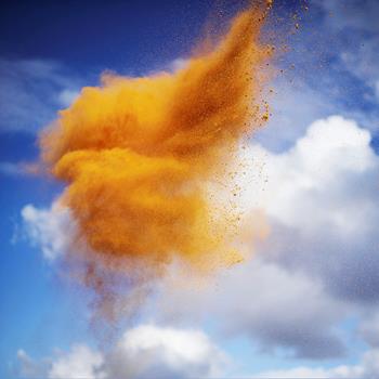 Rob and Nick Carter - Paint Pigment Photograph, Zanderin Golden