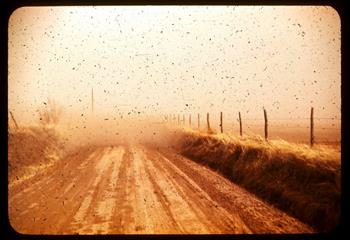 Adam Chodzko - Ask the Dust (Kansas, 1950’s, with dust from 85, Leighton Gardens, London, NW10, 2013)