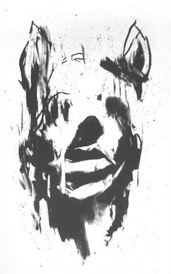 Antony Micallef - Head