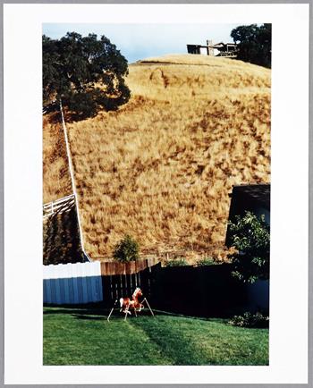 Bill Owens - Hillside with Toy Horse (1981)
