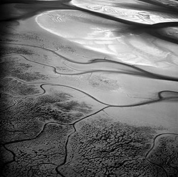 Bill Peronneau - Budle Bay II (Northumberland, England)