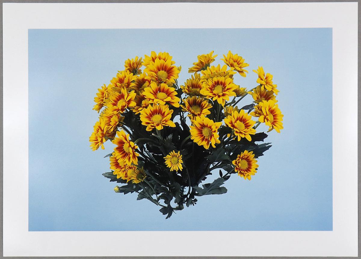 Boyd Webb - Billet Doux (1997)