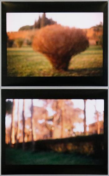 David Armstrong - Bush, Tivoli, Wall, Rome (diptych)