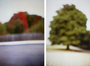 David Armstrong - Parking Lot with white line, Tree (diptych)
