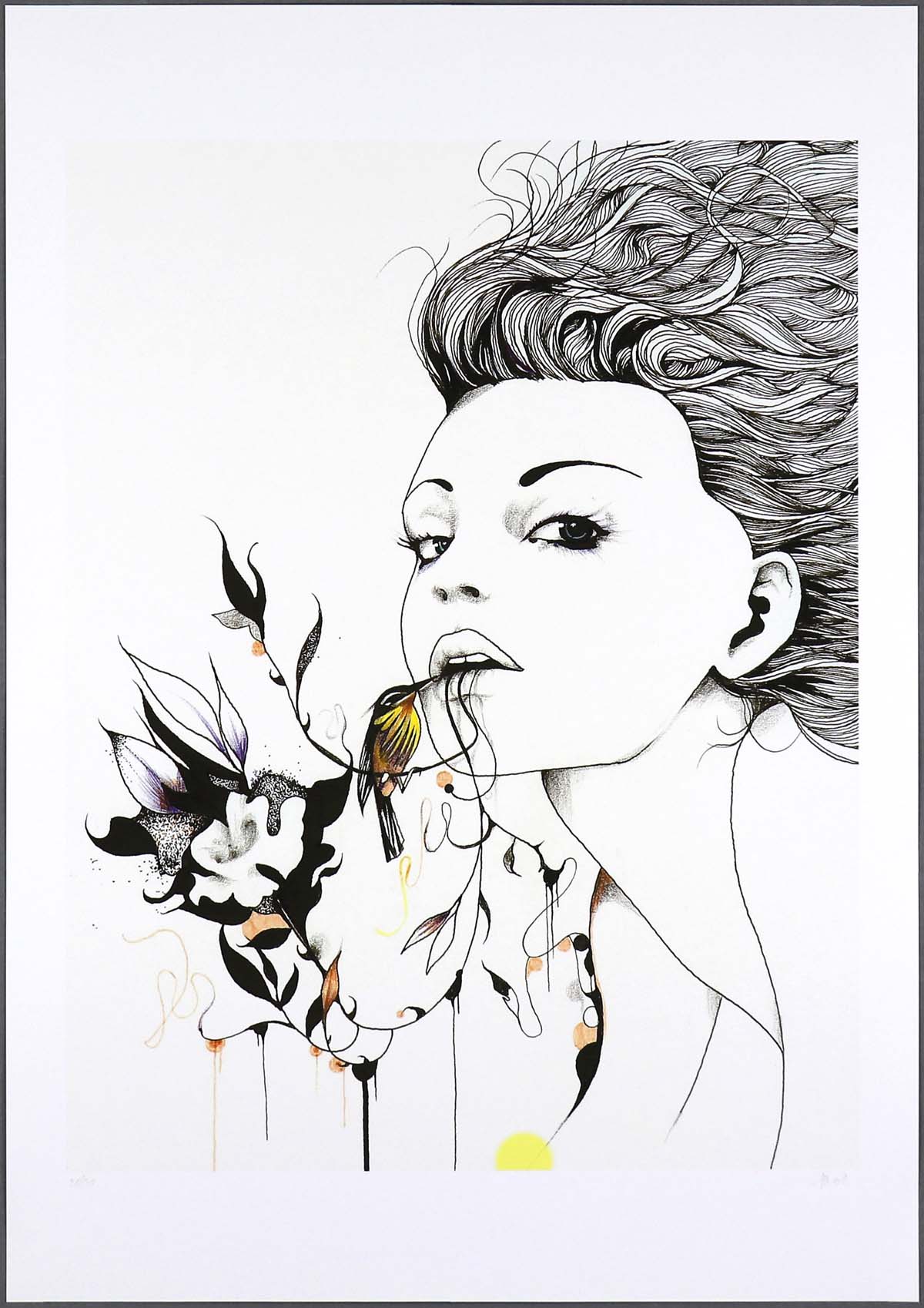 David Bray - Seasons of Missed Opportunities 1