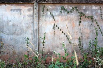 David Woolfall - Wall 1, Nong Khai