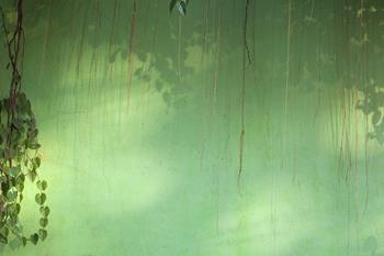 David Woolfall - Wall 2, Vientiane